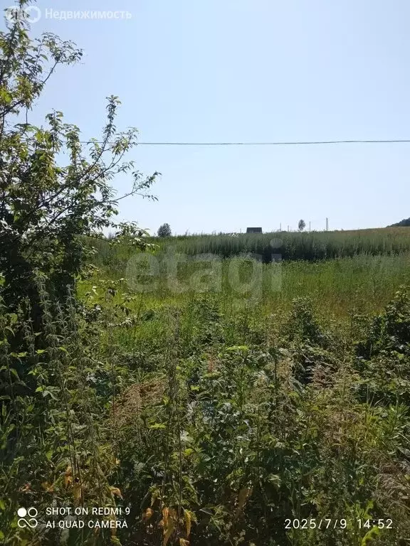 Участок в Республика Мордовия, городской округ Саранск, село ... - Фото 2