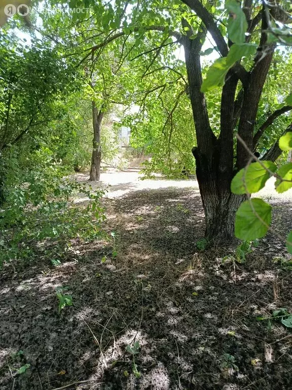 Участок в Щербиновский район, село Глафировка (18 м) - Фото 2