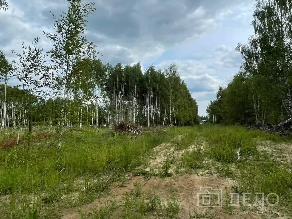 Участок в Рязанская область, Рязанский муниципальный округ, с. ... - Фото 2