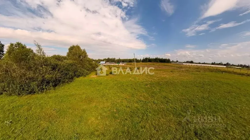 Участок в Владимирская область, Судогодский район, д. Красная Горка ... - Фото 2