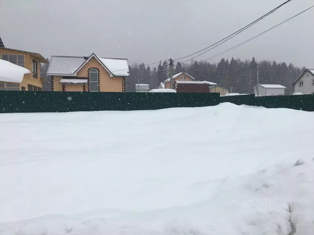 Участок в Московская область, Пушкинский городской округ, с. Ельдигино ... - Фото 1