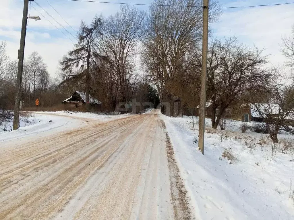 Участок в Псковская область, Островский район, Воронцовская волость, ... - Фото 0