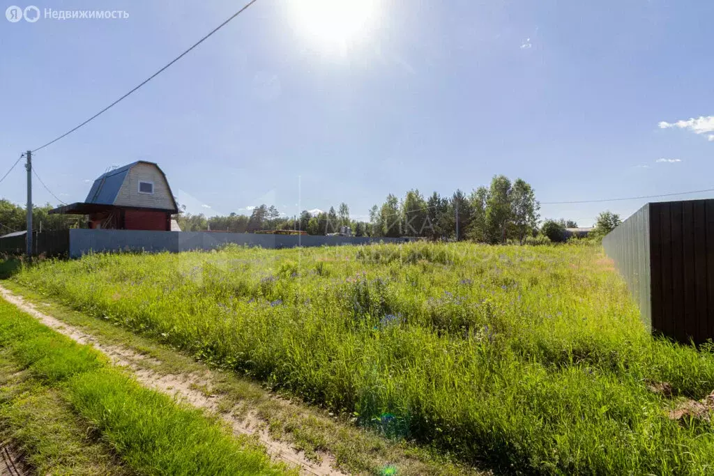 Участок в Тюменский район, деревня Головина (11 м) - Фото 1