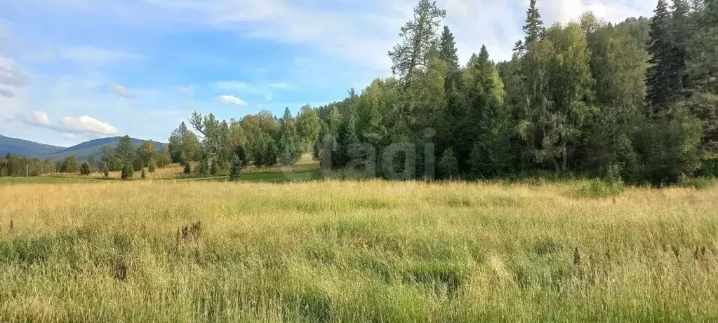 Участок в Алтай, Шебалинский район, с. Шебалино Советская ул. (203.33 ... - Фото 2