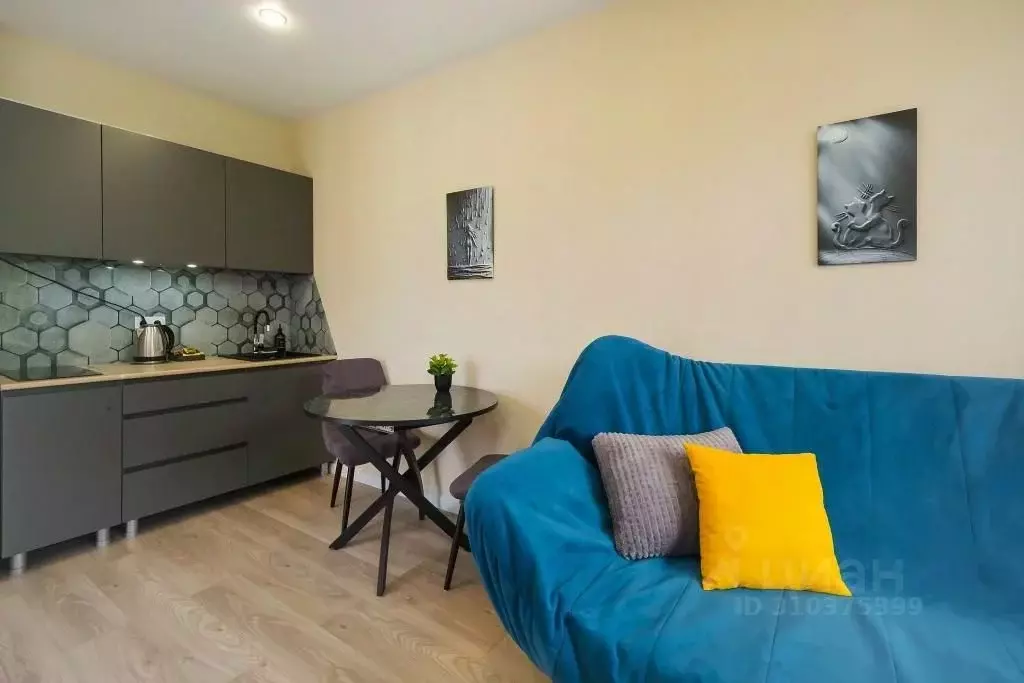 1-к кв. Краснодарский край, Сочи ул. Искры, 88лит4 (28.0 м) - Фото 2