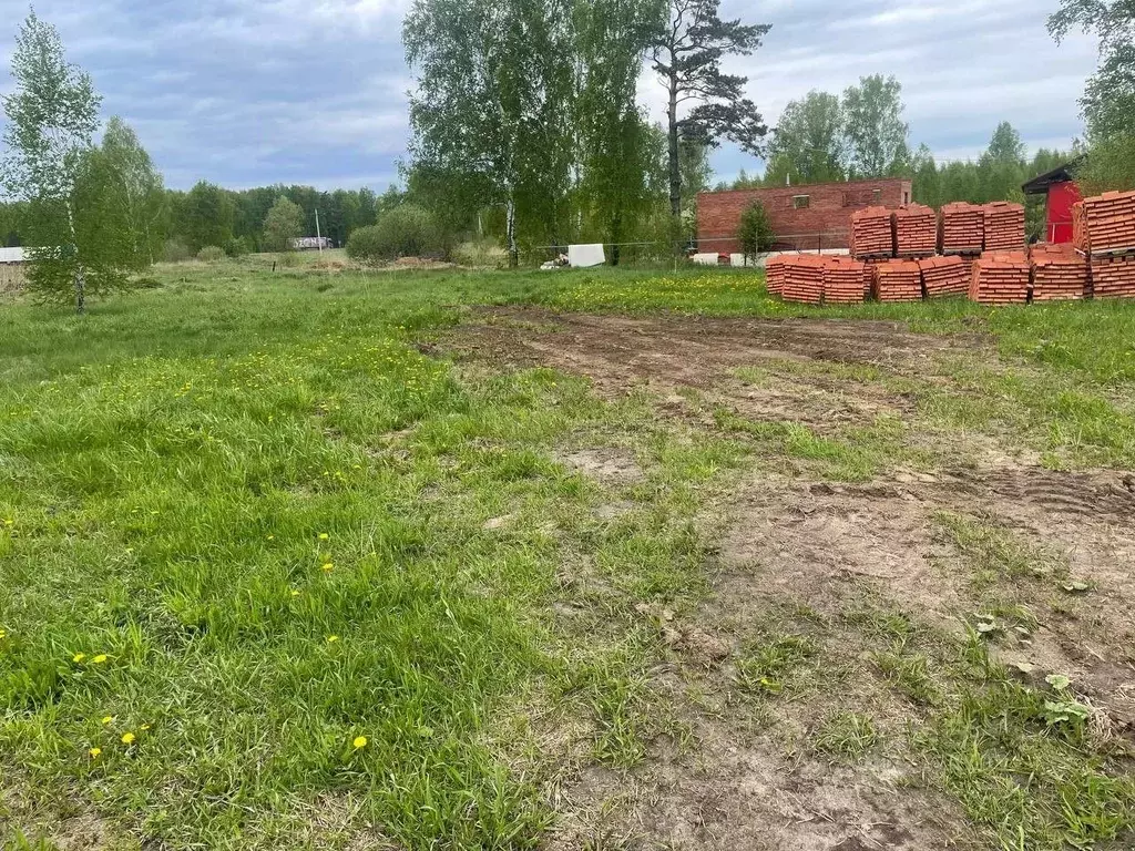 Участок в Новосибирская область, Новосибирский район, Станционный ... - Фото 2