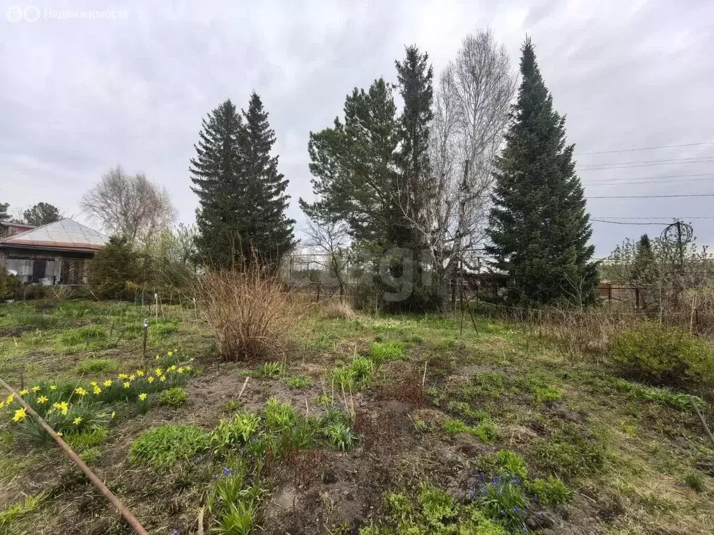 Участок в Репьевский сельсовет, деревня Шмаково, Инская улица (15 м) - Фото 0