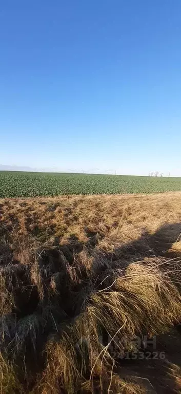 Участок в Калининградская область, Гвардейский муниципальный округ, ... - Фото 1