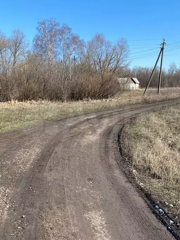 Участок 15,6 сот. (ИЖС) - Фото 1