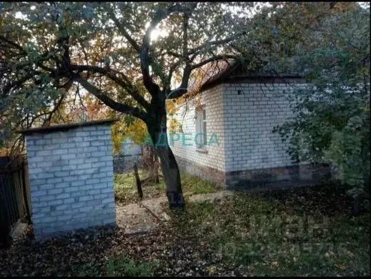 Дом в Белгородская область, Новооскольский муниципальный округ, с. ... - Фото 2