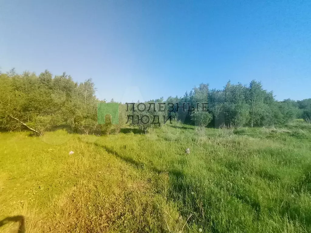 Участок 6,2 сот. (СНТ, ДНП) - Фото 0