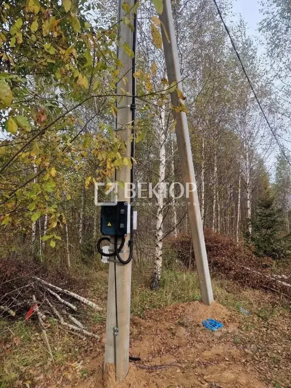 Участок в Костромская область, Костромской район, Самсоновское с/пос, ... - Фото 1