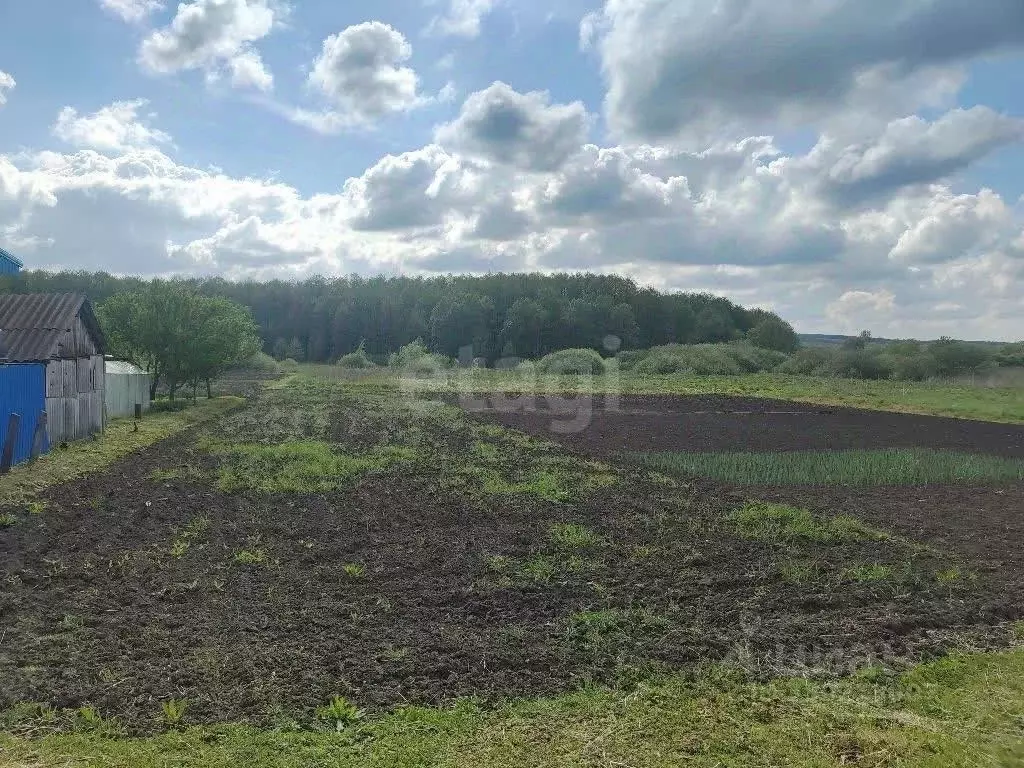 Участок в Белгородская область, Красногвардейский район, ... - Фото 2