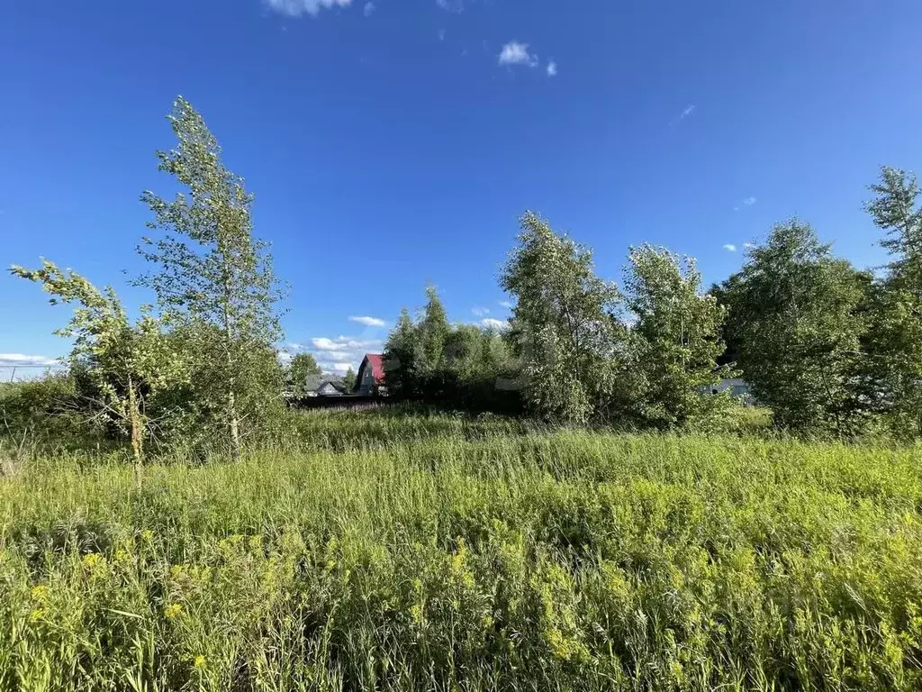 Участок в Архангельская область, Котлас ул. Степана Разина (10.0 сот.) - Фото 1