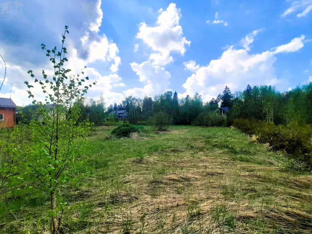 Участок в Московская область, Клин городской округ, Вельга Парк кп ... - Фото 2