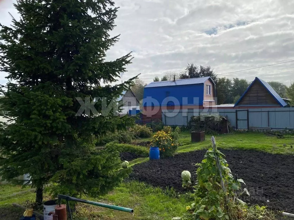 Дом в Новосибирская область, Новосибирск  (32 м) - Фото 2