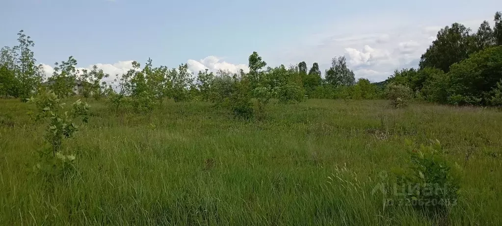 Участок в Белгородская область, Белгородский район, Ериковское с/пос, ... - Фото 1