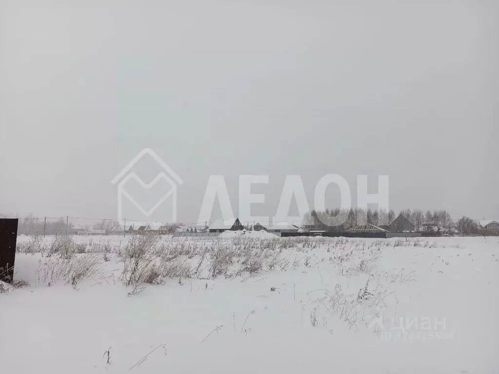 Участок в Омская область, Омский район, с. Пушкино ул. Луговая (14.45 ... - Фото 2