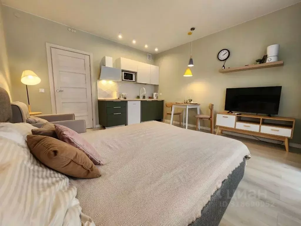 Студия Санкт-Петербург Железнодорожный просп., 14к1 (25.0 м) - Фото 1