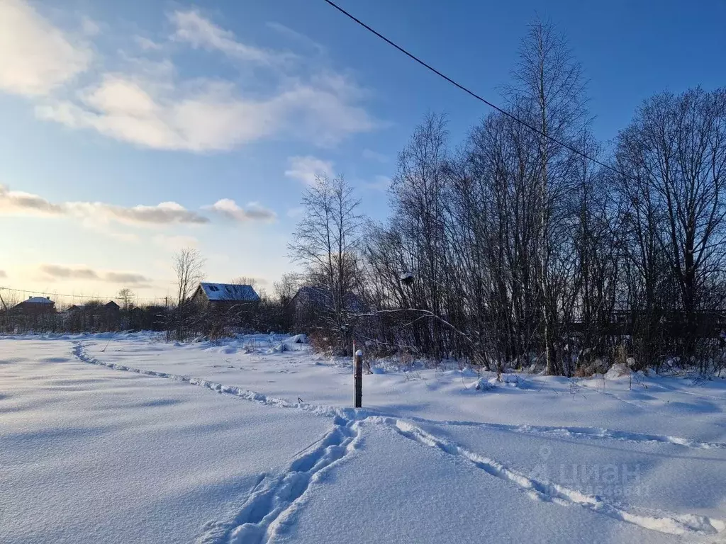 Участок в Ленинградская область, Тихвин ул. Ланская, 26 (10.0 сот.) - Фото 2