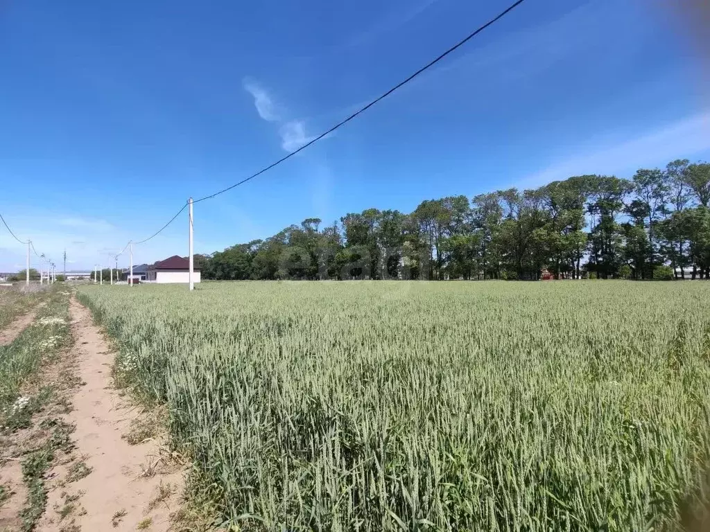 Участок в Краснодарский край, Темрюк ул. Ильи Павленко (7.5 сот.) - Фото 2