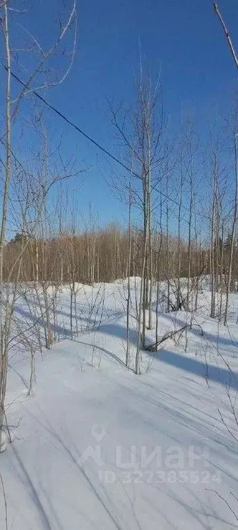 Участок в Иркутская область, Иркутский муниципальный округ, Ручейки ... - Фото 2