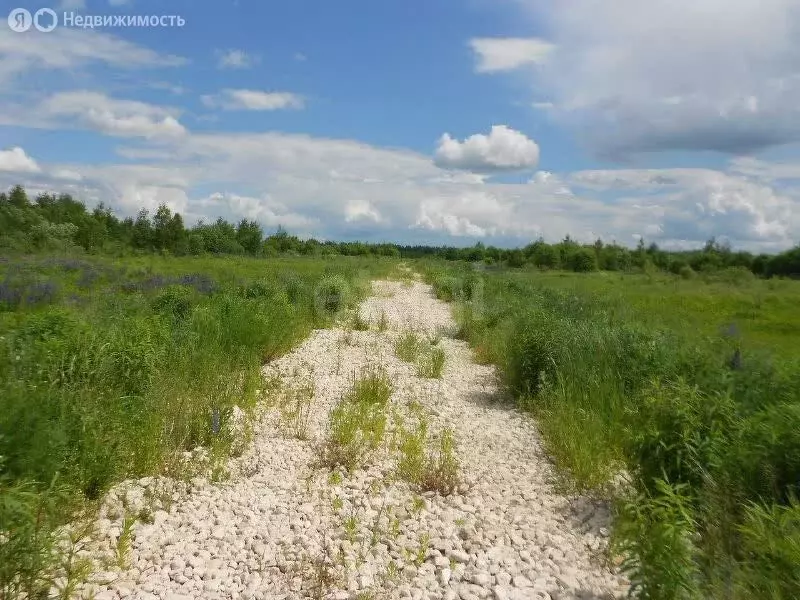 Участок в Нижегородская область, Богородский муниципальный округ, село ... - Фото 0