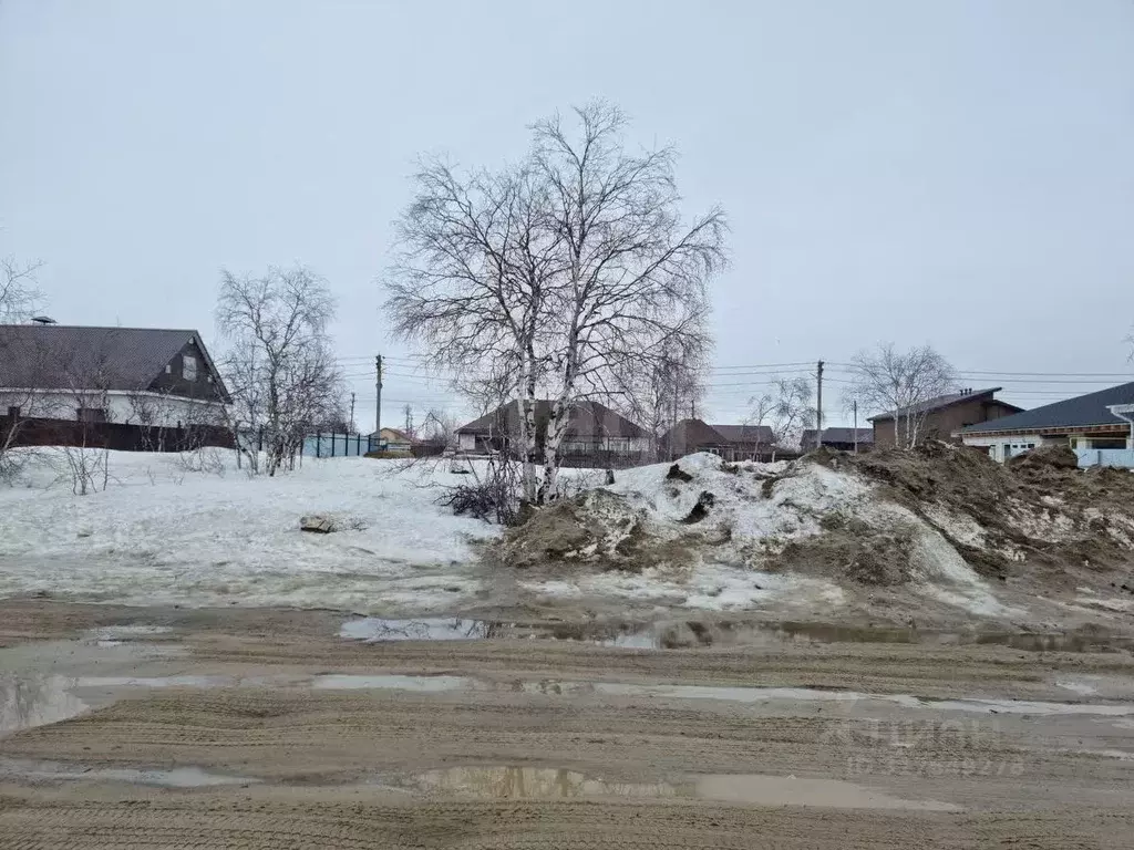 Участок в Ямало-Ненецкий АО, Новый Уренгой Дружба ДНТ, проезд 1-й ... - Фото 1