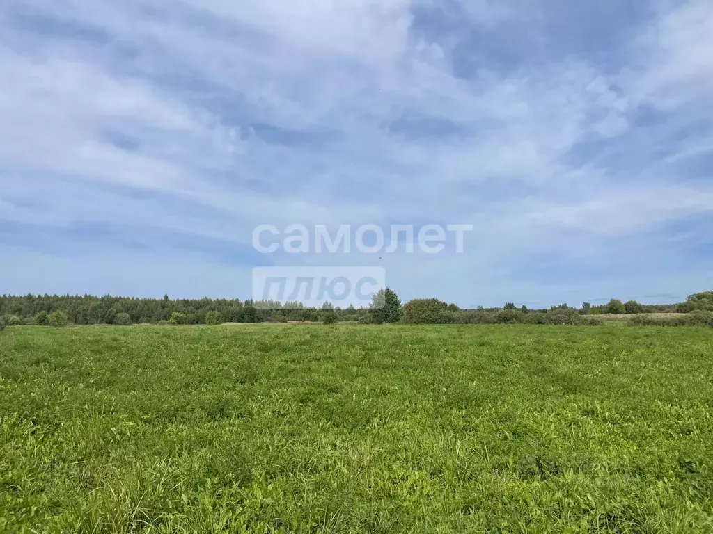 Участок в Владимирская область, Судогодский район, д. Загорье  (23.45 ... - Фото 1