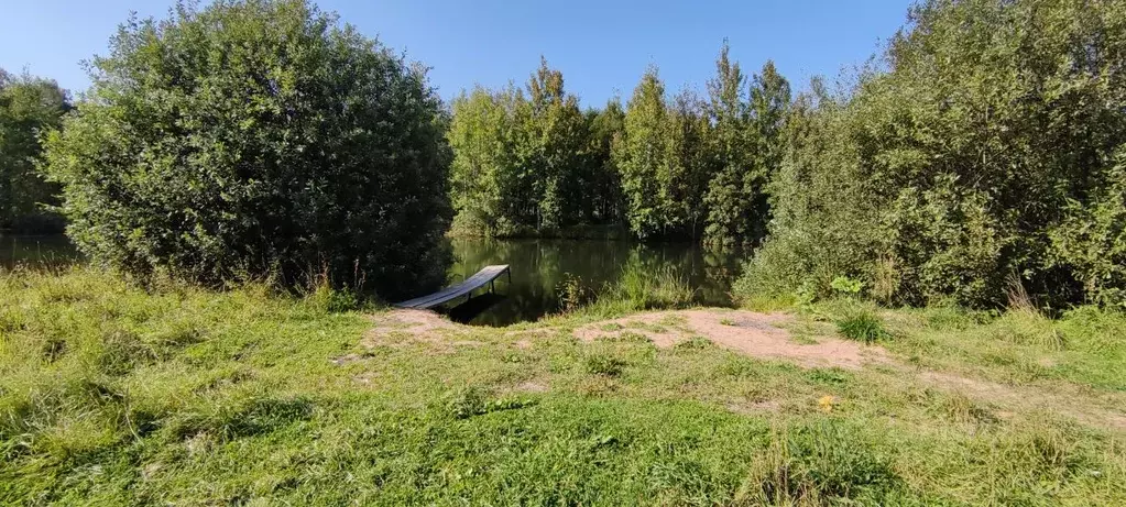 Участок в Московская область, Сергиево-Посадский городской округ, с. ... - Фото 0