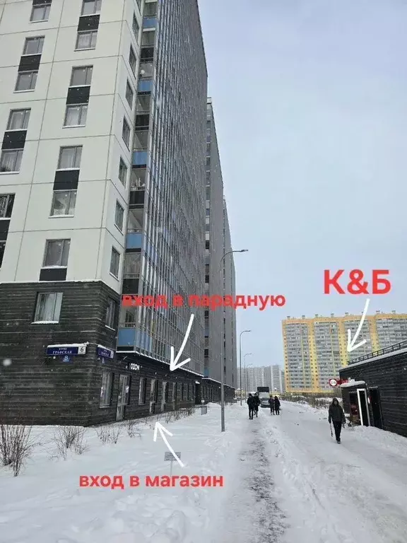 Помещение свободного назначения в Ленинградская область, Мурино ... - Фото 2