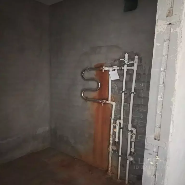 Студия Алтай, Горно-Алтайск ул. Петра Сухова, 6 (37.0 м) - Фото 2