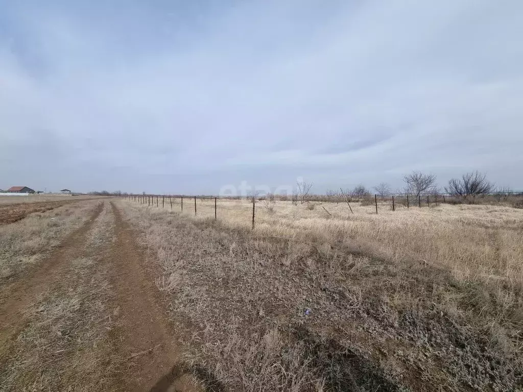 Участок в Волгоградская область, Дубовка ул. Имени Шолохова (5.5 сот.) - Фото 1