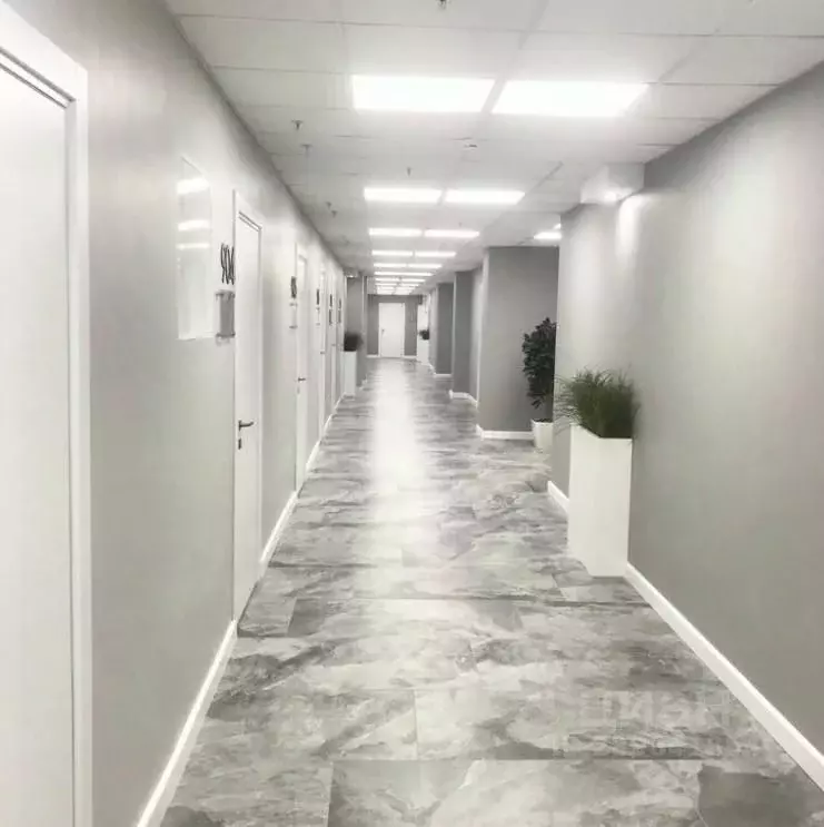 Офис в Новосибирская область, Новосибирск Красный просп., 200 (20 м) - Фото 1