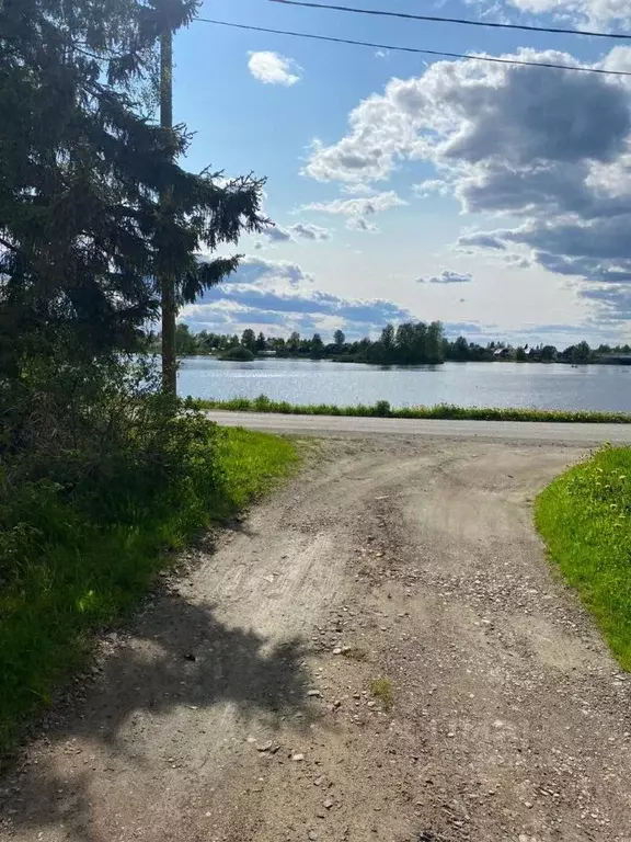 Участок в Карелия, Прионежский район, пос. Шуя ул. Южная, 7 (16.0 ... - Фото 2