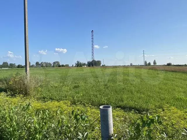 Участок 15 сот. (СНТ, ДНП) - Фото 0