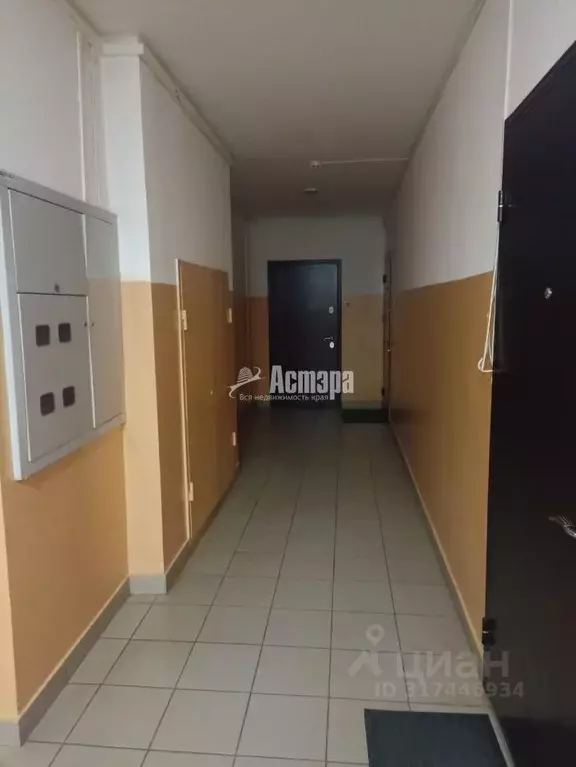 2-к кв. Забайкальский край, Чита ул. Курнатовского, 70 (67.0 м) - Фото 1