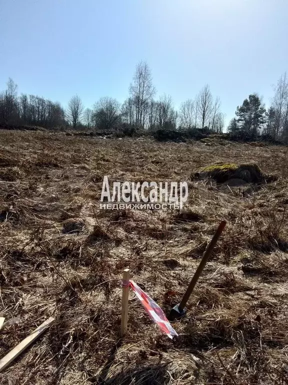 Участок 11 сот. (СНТ, ДНП) - Фото 0