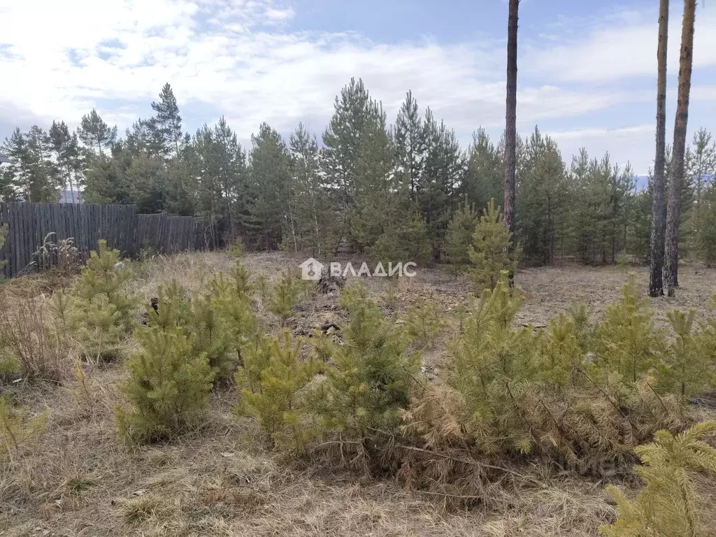 Участок в Бурятия, Улан-Удэ 121-й мкр, 43 (8.0 сот.) - Фото 1