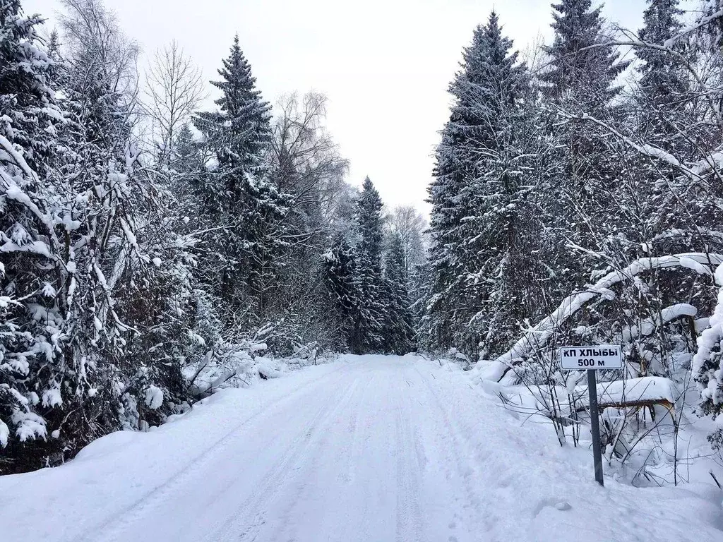 Участок, 12 сот., сельхоз (снт или днп) - Фото 1