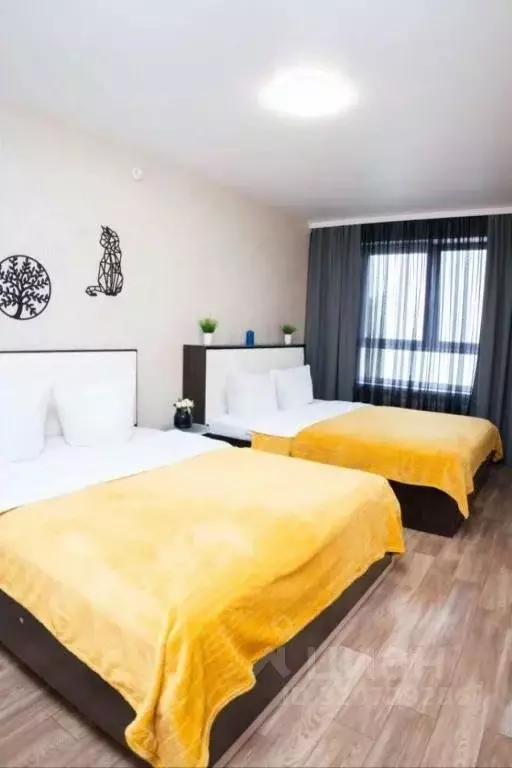 2-к кв. Саратовская область, Балаково Волжская ул., 35А (60.0 м) - Фото 2