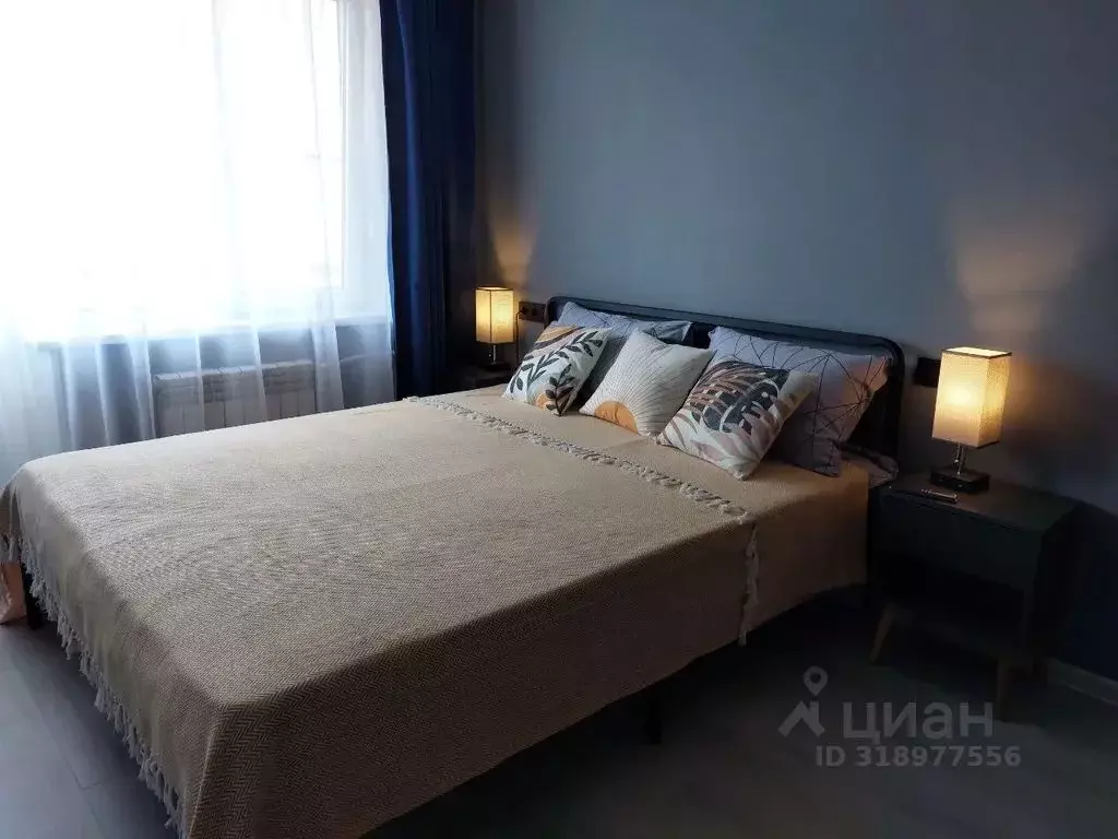 1-к кв. Псковская область, Псков Рижский просп., 68 (32.0 м) - Фото 0