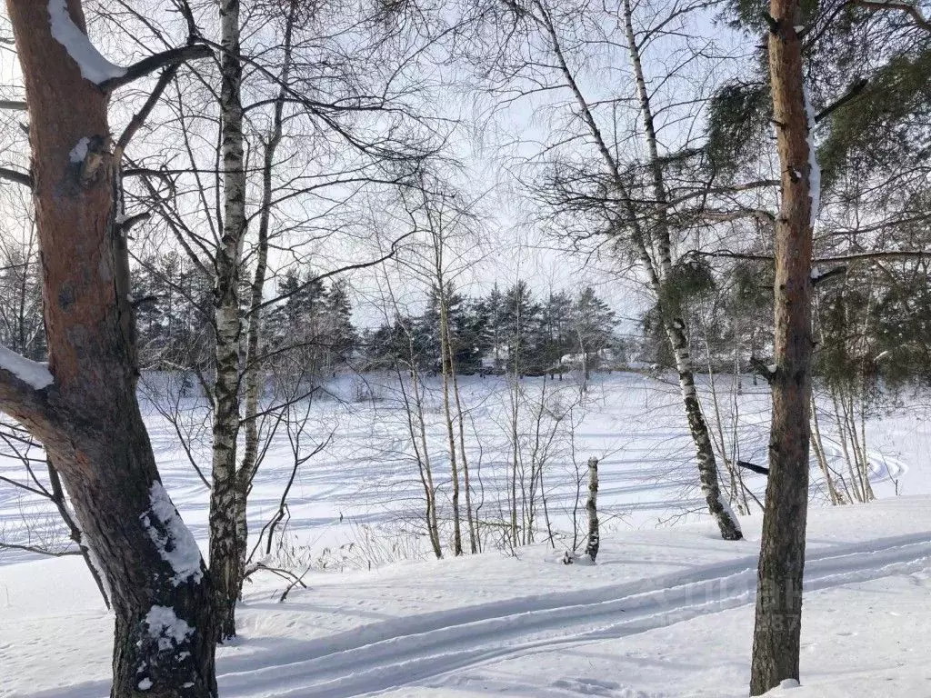 Дом в Московская область, Раменский муниципальный округ, Дружба СНТ ... - Фото 1