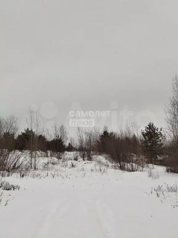 Участок 6 сот. (СНТ, ДНП) - Фото 1