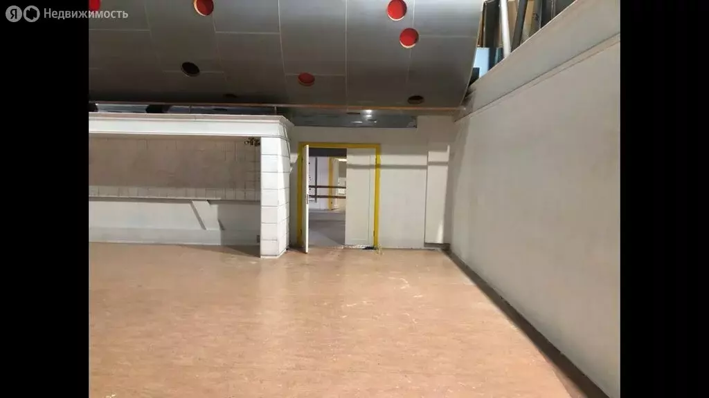 Помещение свободного назначения (433 м) - Фото 2