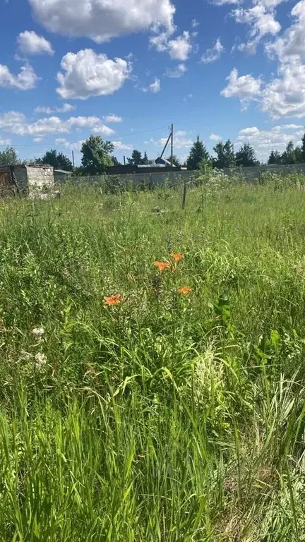 Участок в Тюменская область, Тюменский район, Нива СНТ  (8.0 сот.) - Фото 0