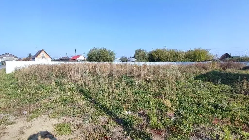 Участок в Тюменская область, Тюменский муниципальный округ, с. Борки ... - Фото 2