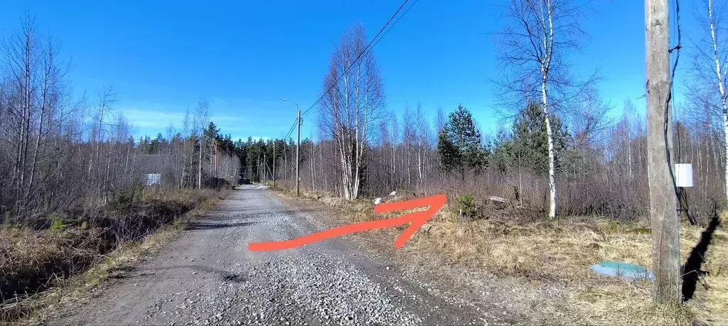 Участок в Ленинградская область, Приозерский район, Ларионовское ... - Фото 2