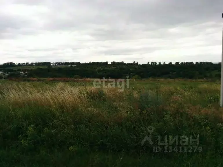 Участок в Белгородская область, Белгородский район, Дубовское с/пос, ... - Фото 0