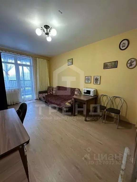 Студия Санкт-Петербург ул. Адмирала Черокова, 22 (24.0 м) - Фото 1